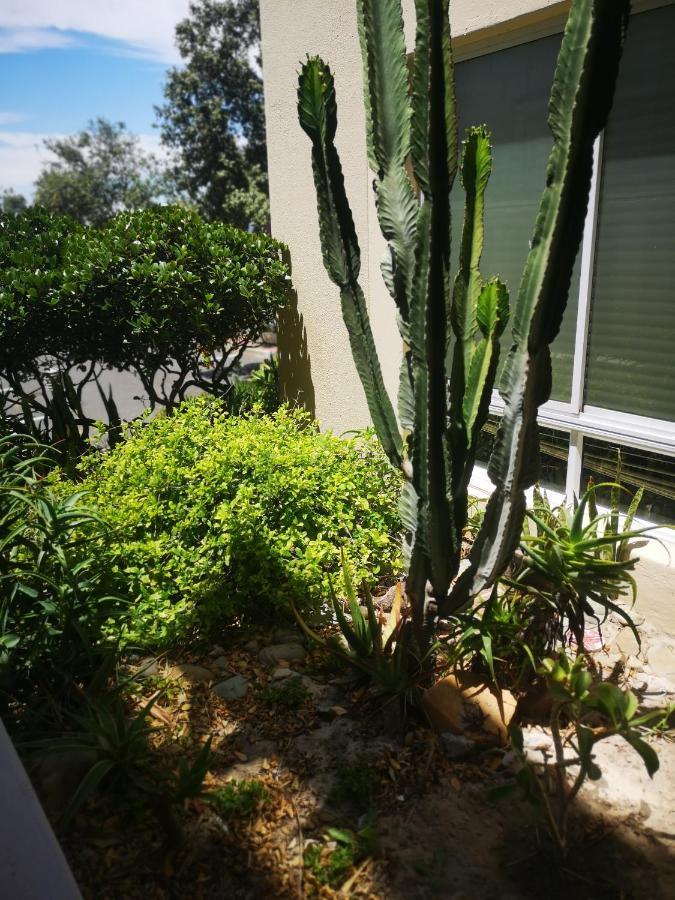 Cape Town Family Beachfront Apartment Leisure Bay Cidade Do Cabo Exterior foto